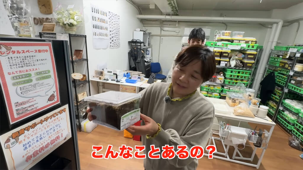 特別賞を当てても自然体な母たそさんが素敵です