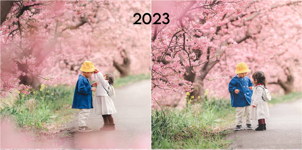 幼稚園に入園するお兄ちゃんに「頑張って！」