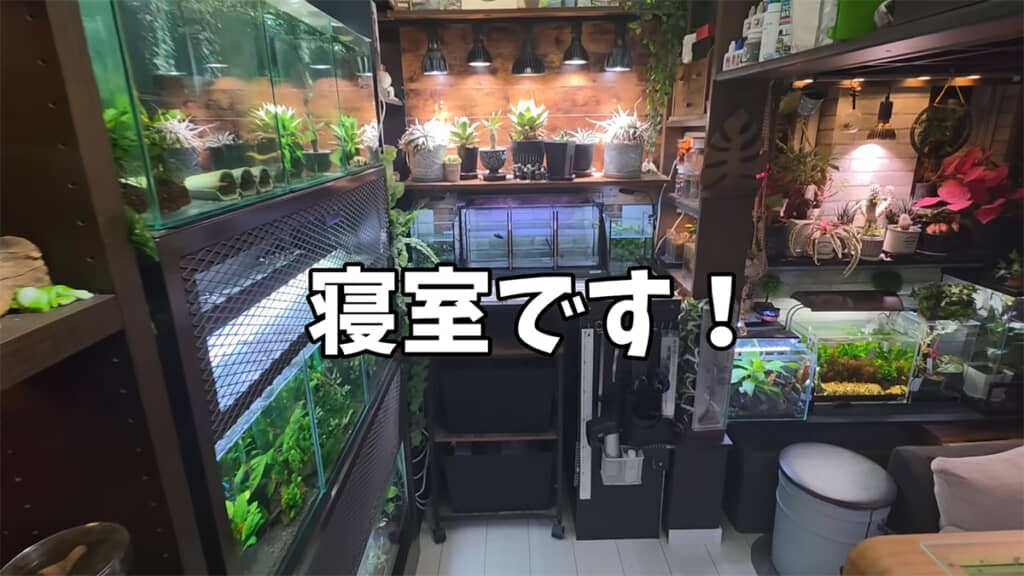 寝室にやってきました