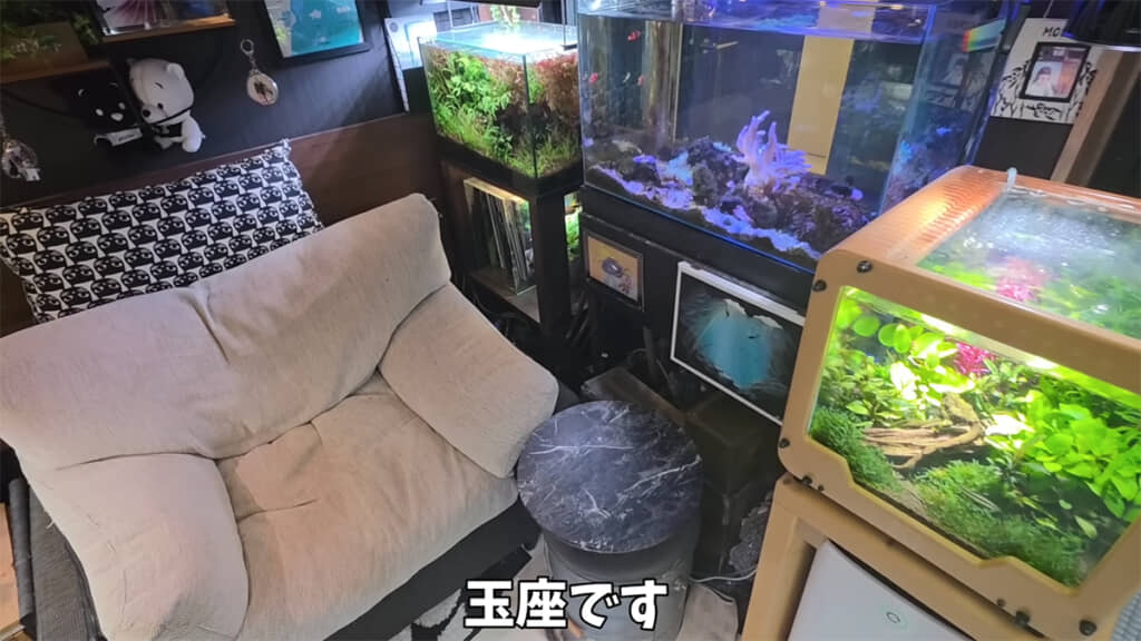 座って水槽を見渡せる玉座