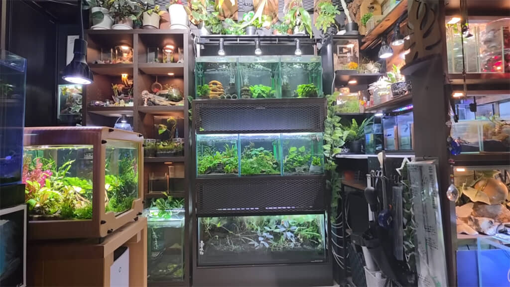 玉座の前には水槽台が