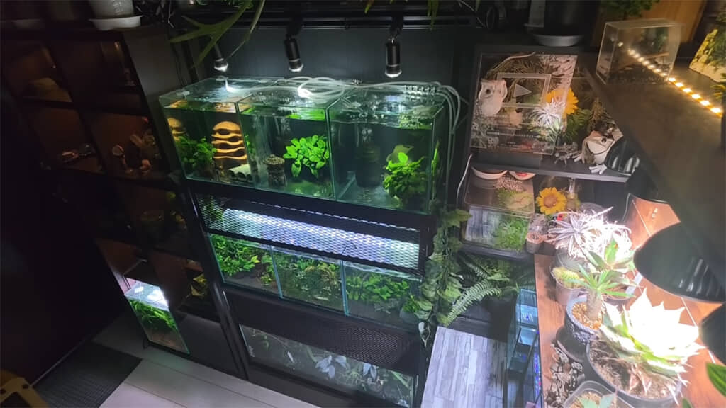 ロフトベッドから見える光景