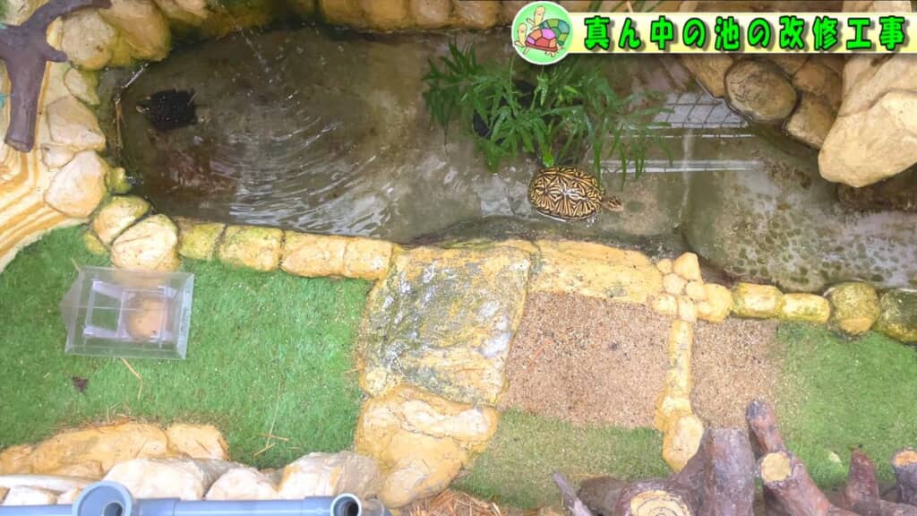 仕切りを設置する前の池を上から撮った映像