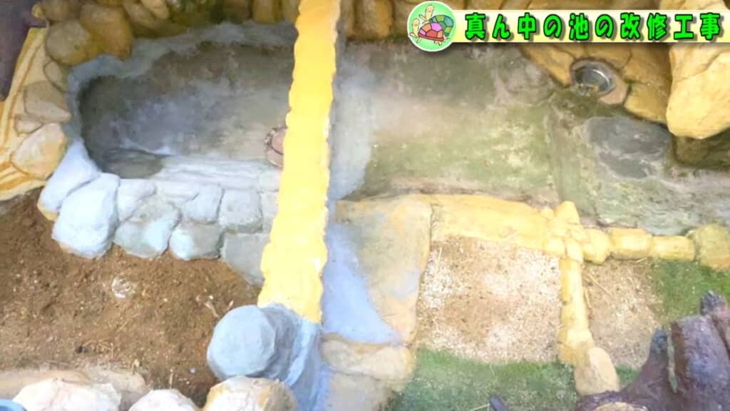 仕切りを設置した後の池を上から撮った映像