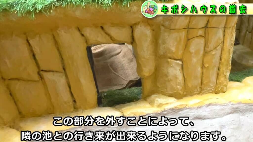 砂地に隣接している壁を一部取り外し可能にした