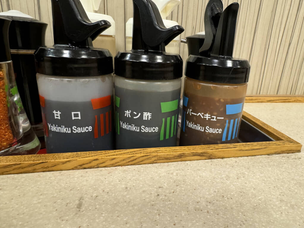 海外の利用者にとっては絶望の表記でした(画像提供:さくやの/@PGM_Hecate_IIさん ※2025年撮影)