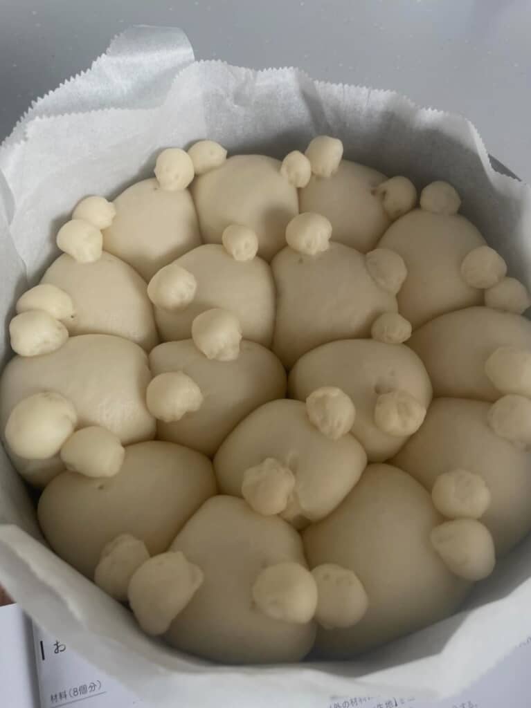 生地をクマの顔型に