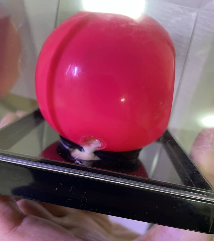 うしろから何か出てる!?