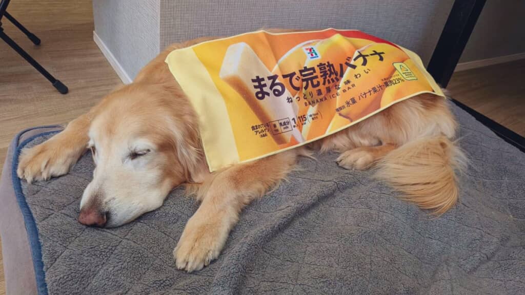 かわいすぎるｗ