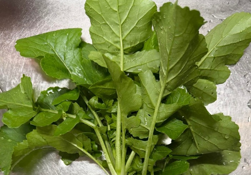 立派に育ちました