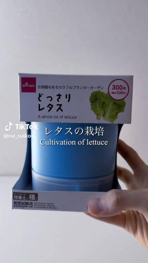 ダイソーの栽培キット「どっさりレタス」（330円）