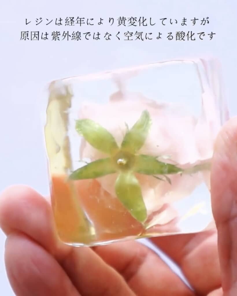 レジンが変色しても、中の花は変わっていない！