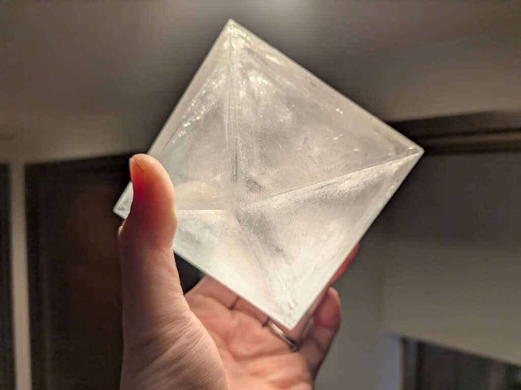 デカすぎんだろ……