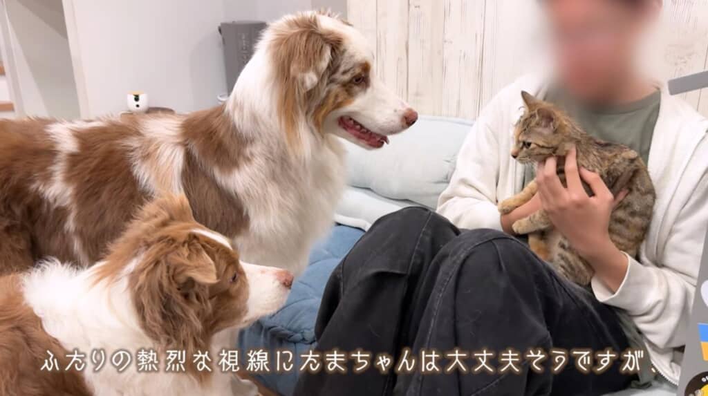 いつも新鮮なリアクションを見せるワンコたち