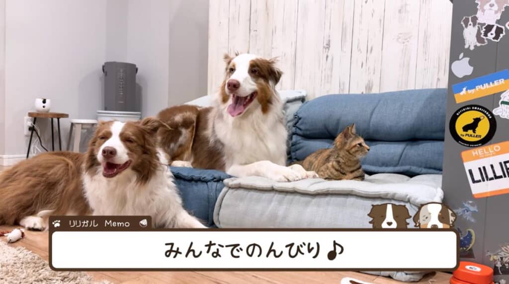 みんな揃ってのんびり