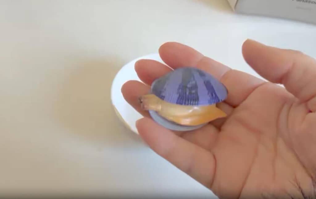 子どもが持ち帰ってきたカプセルトイ