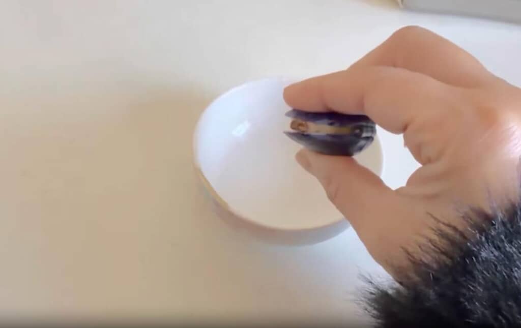 チラッと見える貝の身もリアル