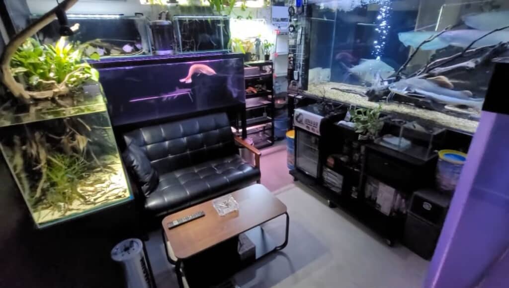 たくさんの水槽が置かれているアクアルーム