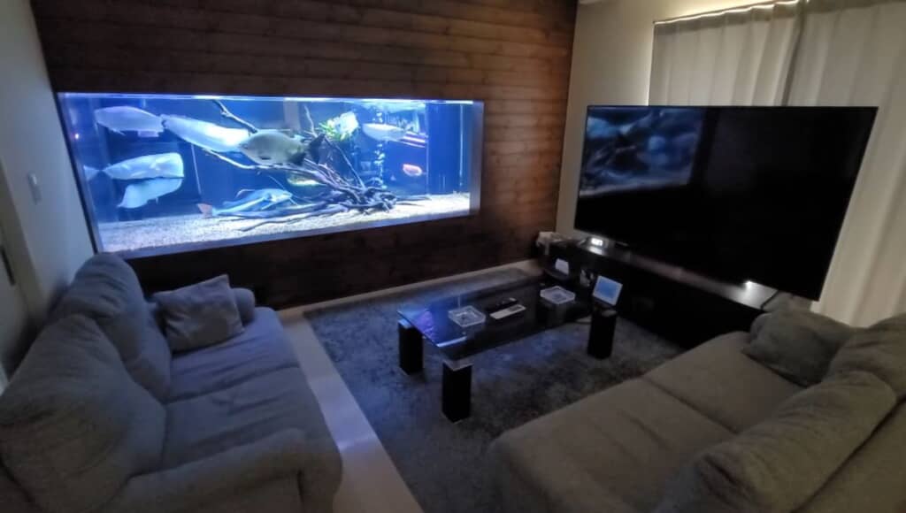 壁の一部をくり抜き超巨大水槽が見えるようにしてあるリビング
