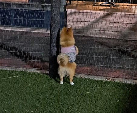 もかちゃん、何を見てるのかな?