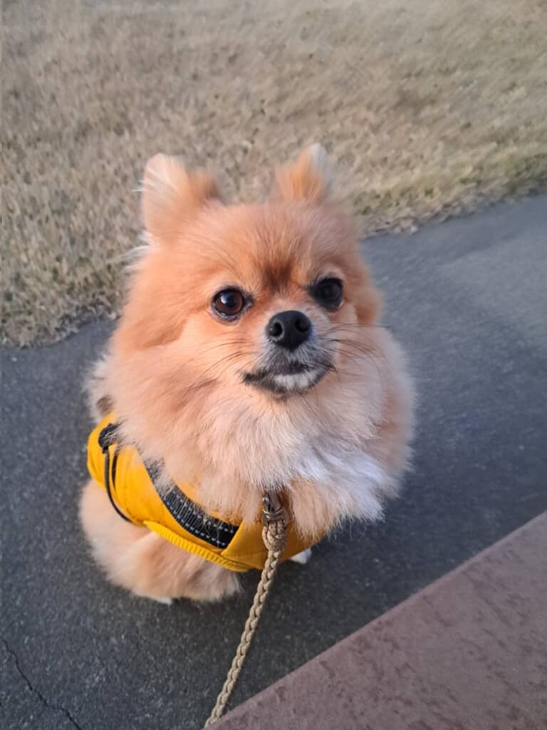 優しそうなお顔がかわいすぎる