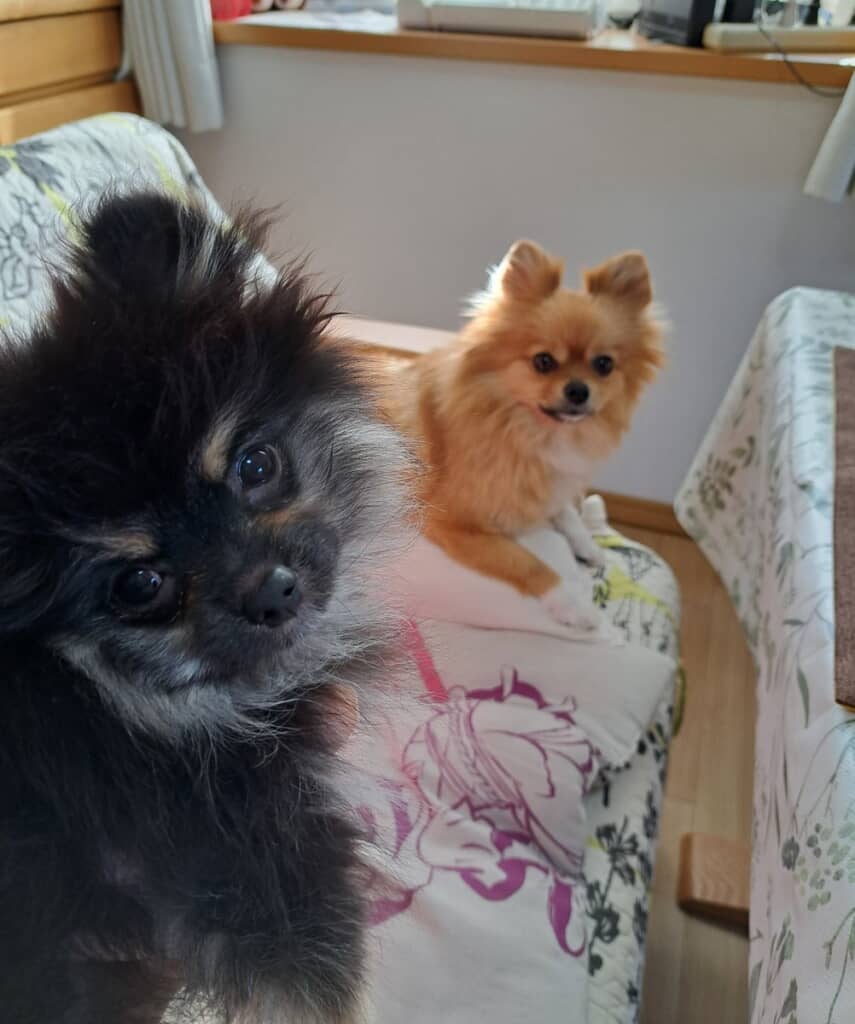 るるちゃんともかちゃんの2ショット