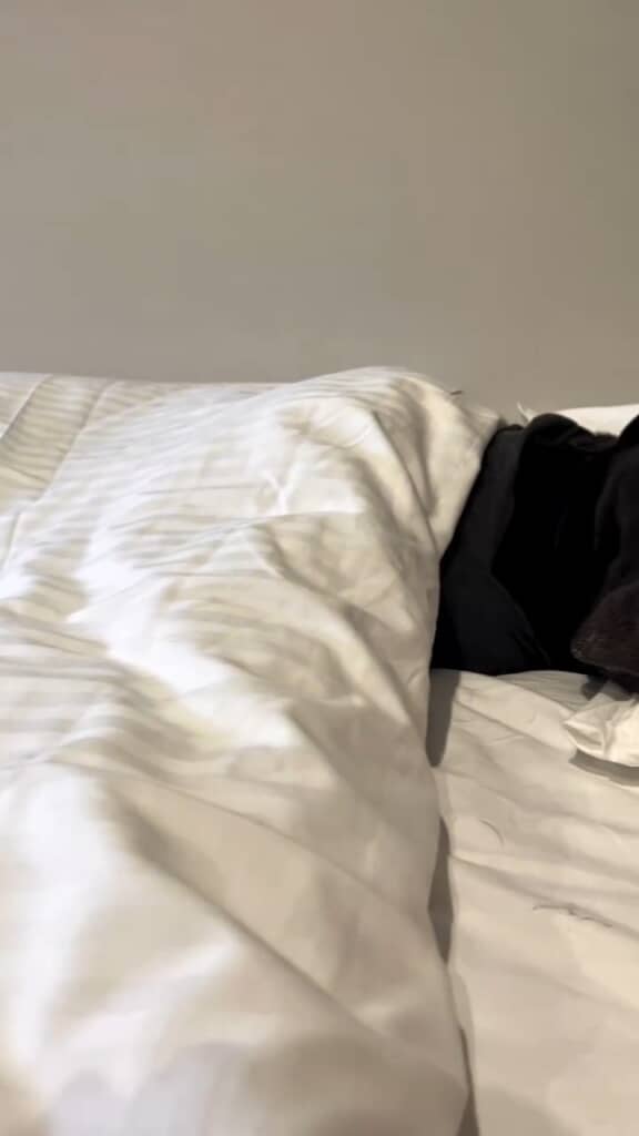 よく見ると、おや……?