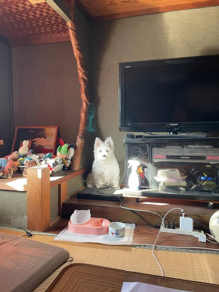 テレビの横にちょこんと座るシャンプーちゃん