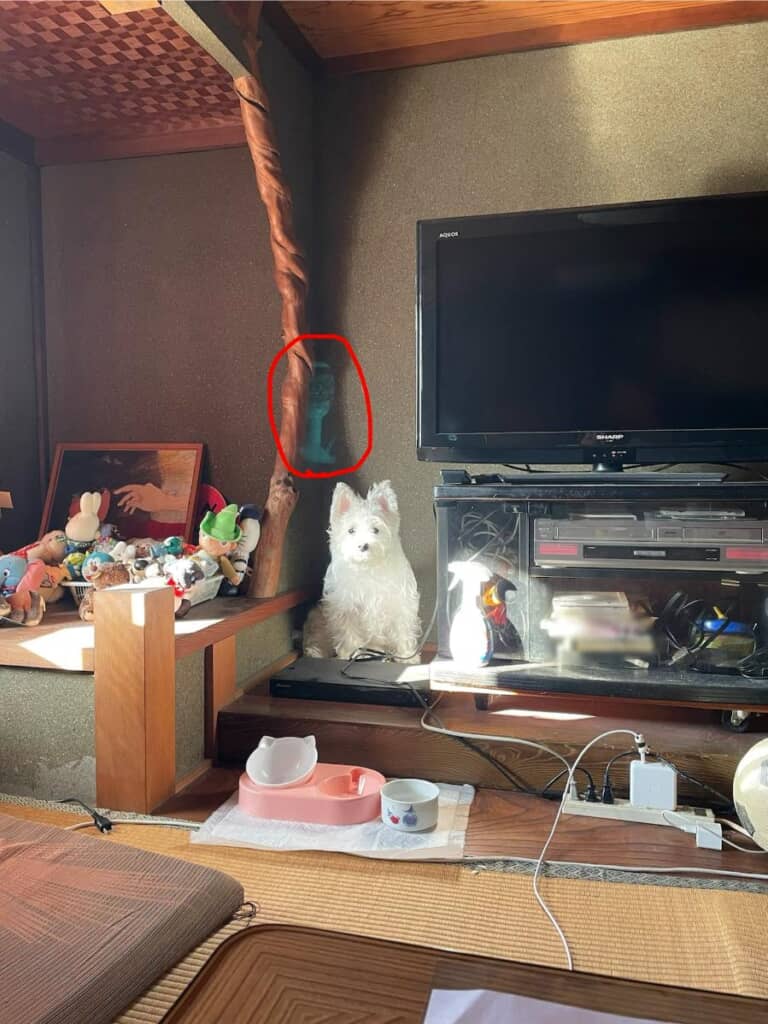 おわかりいただけただろうか？