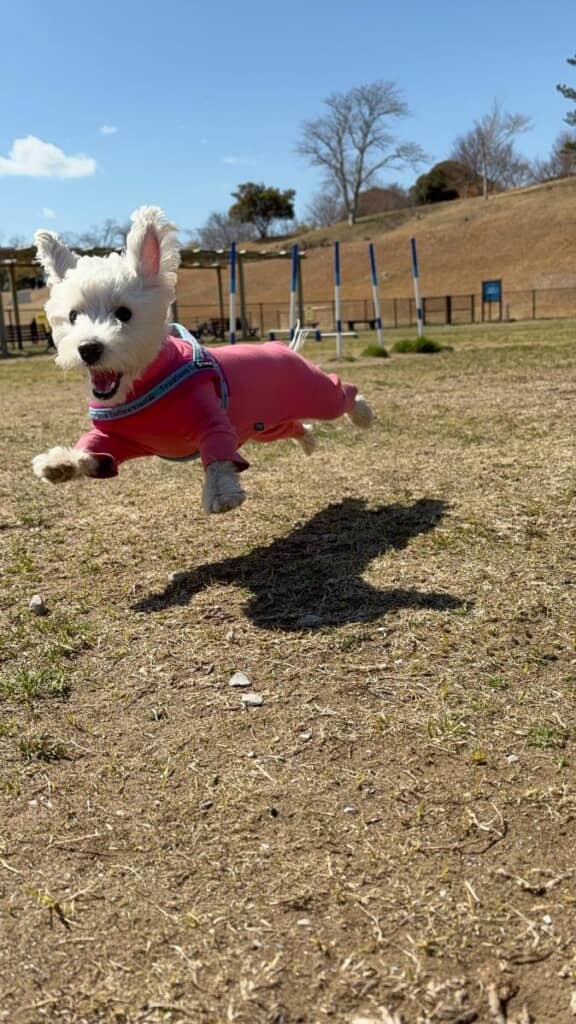 最高の1日だった！