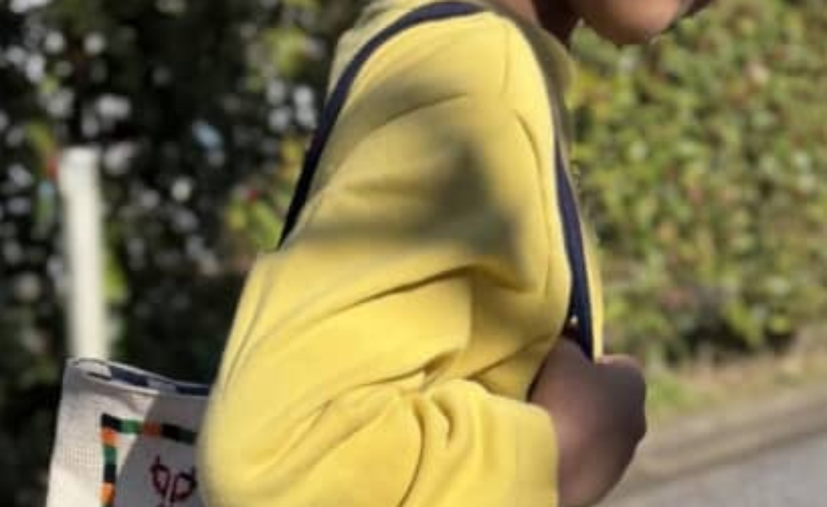 祖母が作った7歳孫のトートバッグ→じーっと見ると……「想像の5倍渋かった」 思わず二度見のデザインに「激かっこよ!!」「一生使えますね」(1/3) | ハンドメイド ねとらぼ