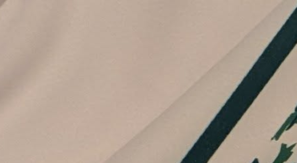 子どもの部活のユニホームに既視感→正体に気付くと…… まさかの一致に共感殺到「数秒後あーって」「もうそれにしか見えない」(1/3) | ライフスタイル ねとらぼ