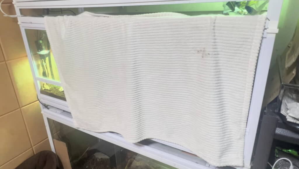 安心して産卵できるように布をかけました