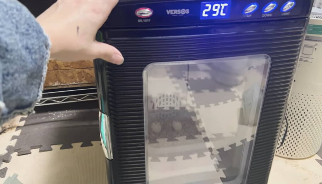 冷温庫で大切に育てます