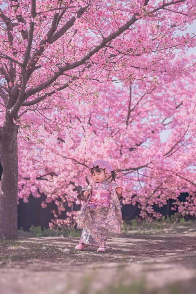 ピンクの世界観がとってもすてきです