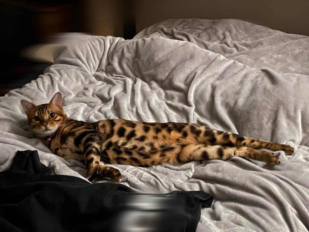 た、たまらん……