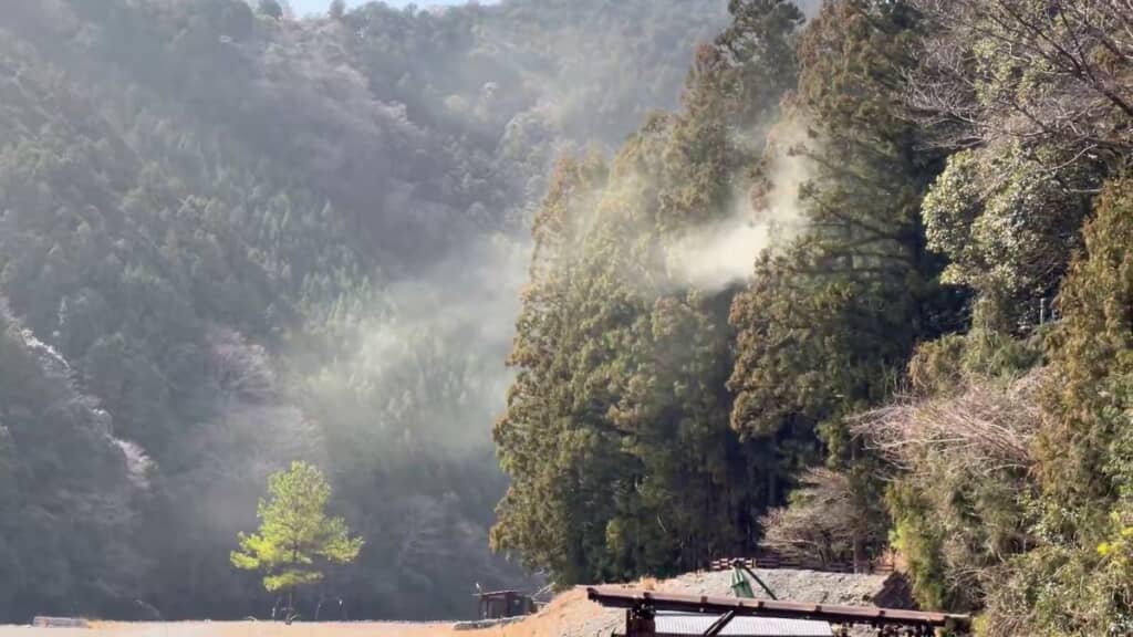 樹木から花粉が飛んでいく様子