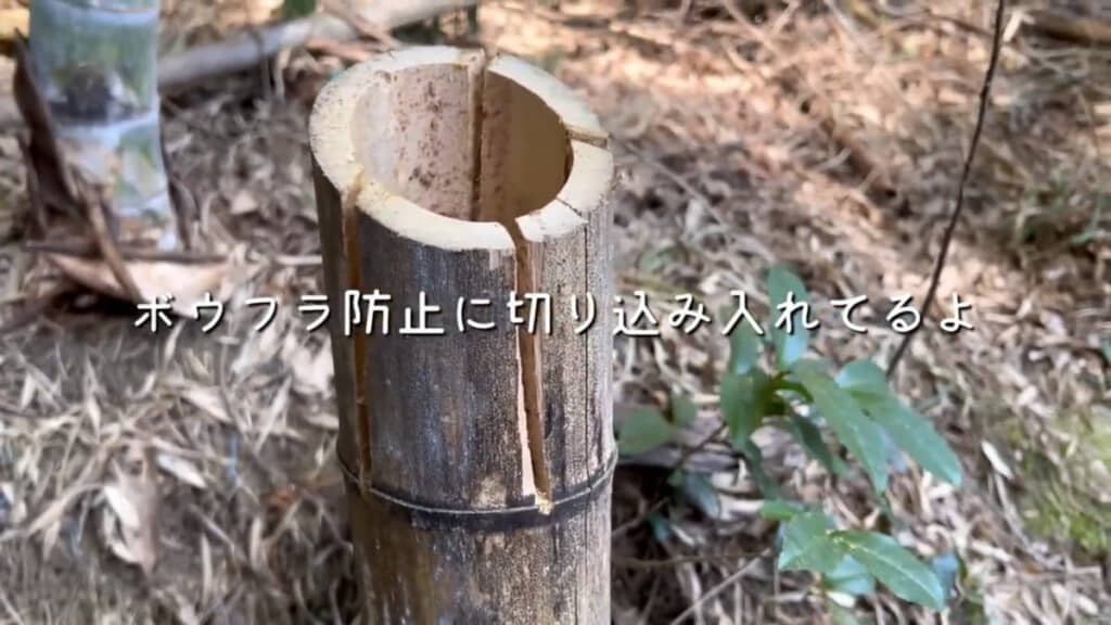 伐採しながらボウフラの発生を抑えるための切り込みも入れています