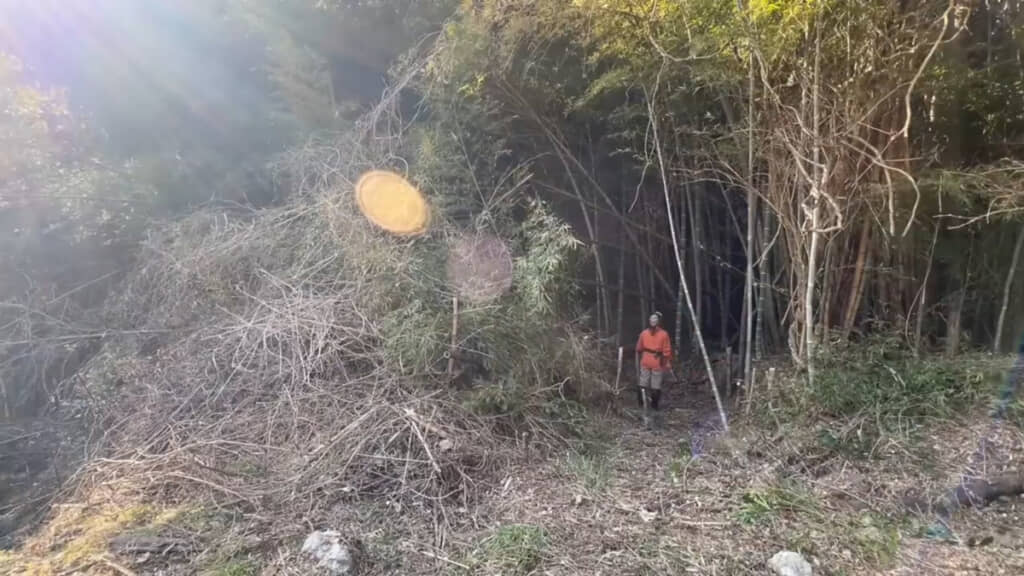 1日でこんなにすっきりしました（アフター）