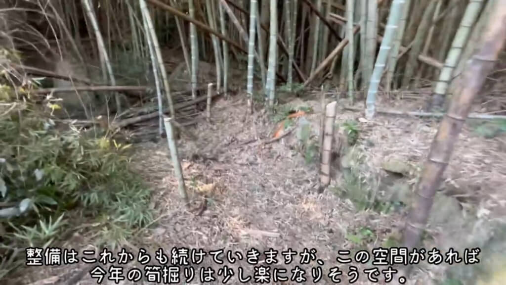 少し整備が進んだことで次回のタケノコ掘りがより楽しみになりました