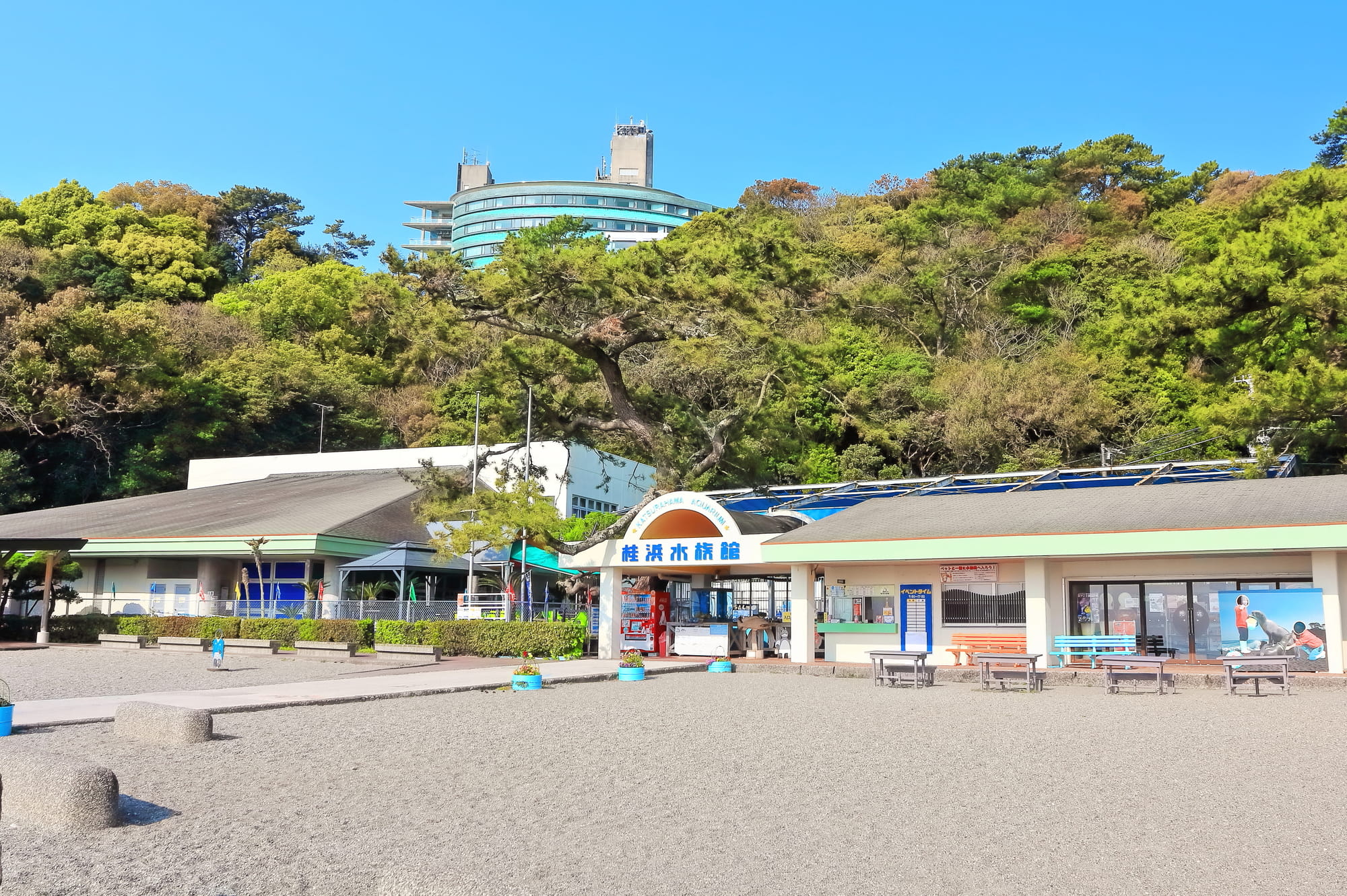 「水族館」の魅力を楽しむ新しい方法