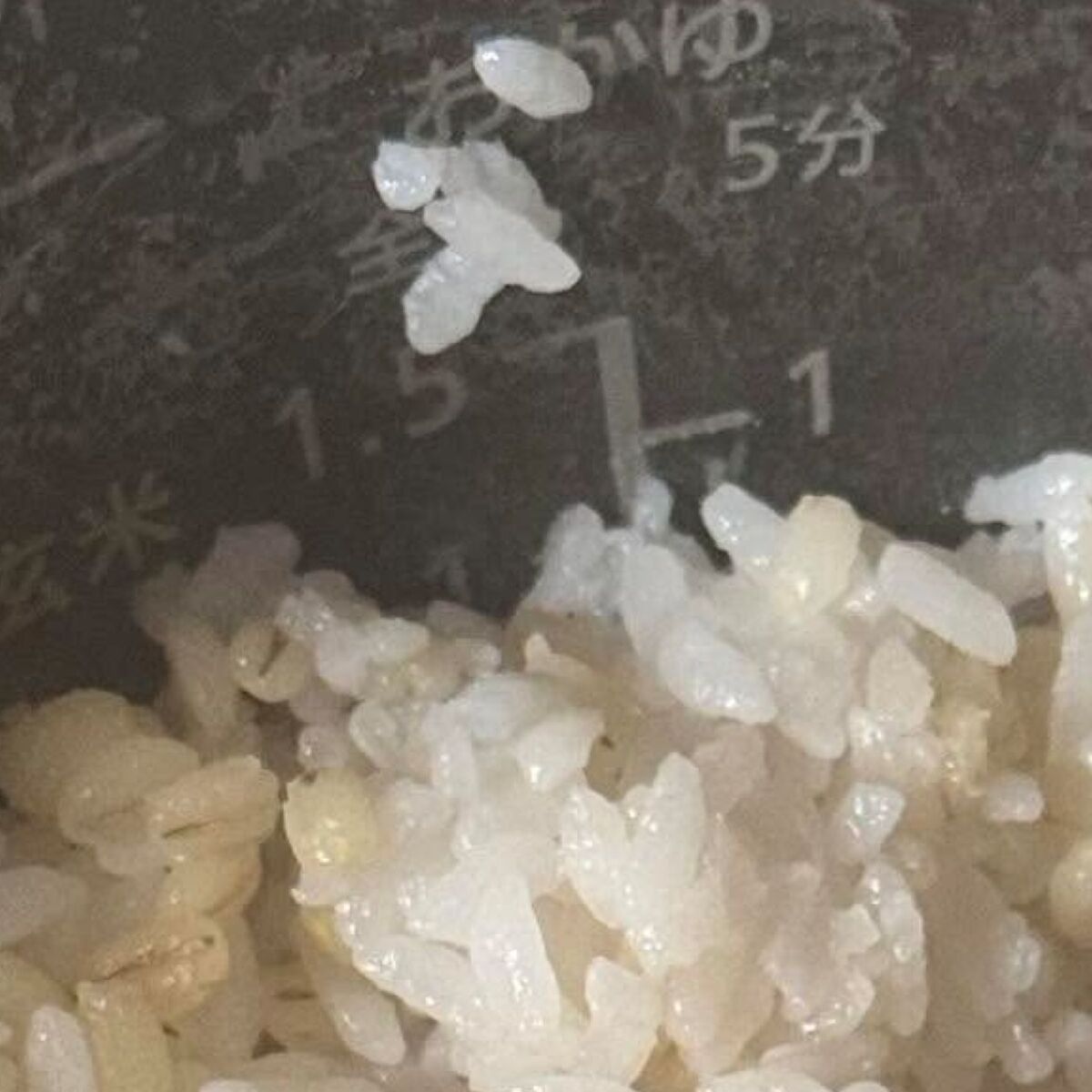 炊飯器を開けたら…… 「結婚してくだい!」予想外すぎる光景に「そんなことある!?」「羨ましい」と184万表示 | ライフスタイル ねとらぼ