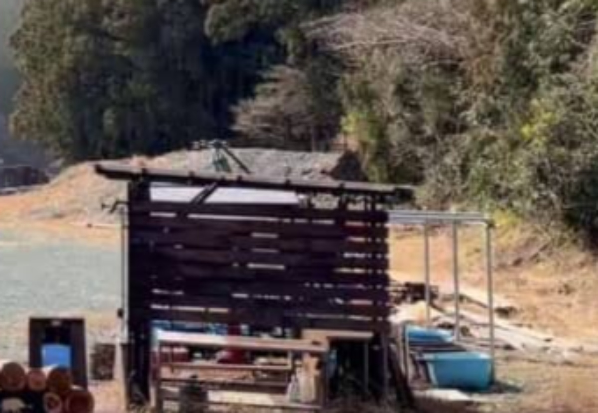 キャンプ場の管理人、ふと遠くの山を見ると……　“絶望的な光景”に「もうだめだ…」「終わりの始まり」と100万表示（1/3） | ライフスタイル ねとらぼ