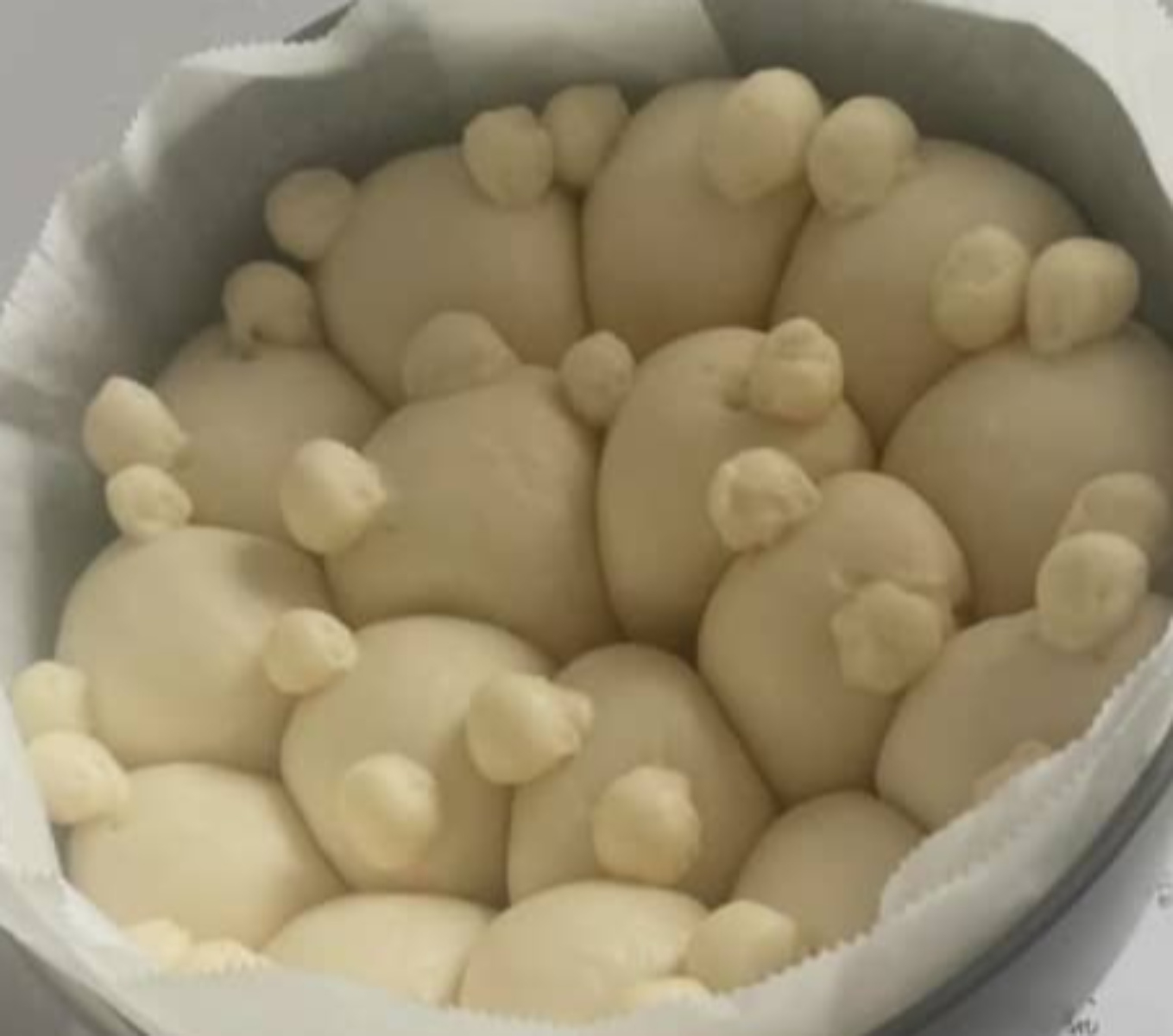 クマのパンを焼こうとしたら……妻「嫌な予感」→“焼きあがった姿”に、夫思わず「なにコレ！化け物？」　2歳息子は「すごいねぇ～」（1/2） | ライフスタイル ねとらぼ