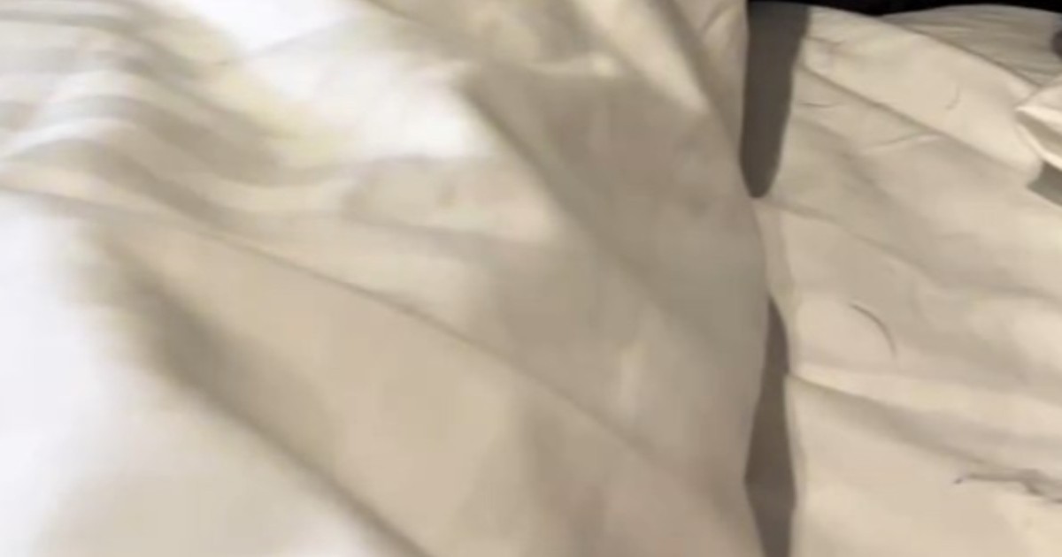 妻と一緒に寝た翌朝、ふと隣を見ると…… 衝撃の光景に「奥様ちょっと見た目変わった?」「最高の朝ですね」(1/2) | 犬 ねとらぼ