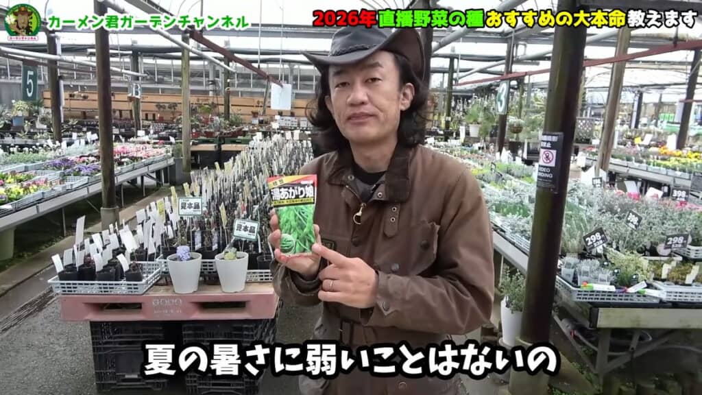 暑さに弱いわけではない「湯あがり娘」