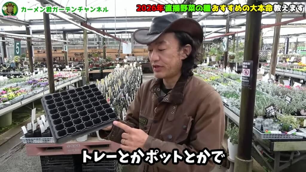 カボチャ栽培はトレーやポットで育苗してから定植すると確実