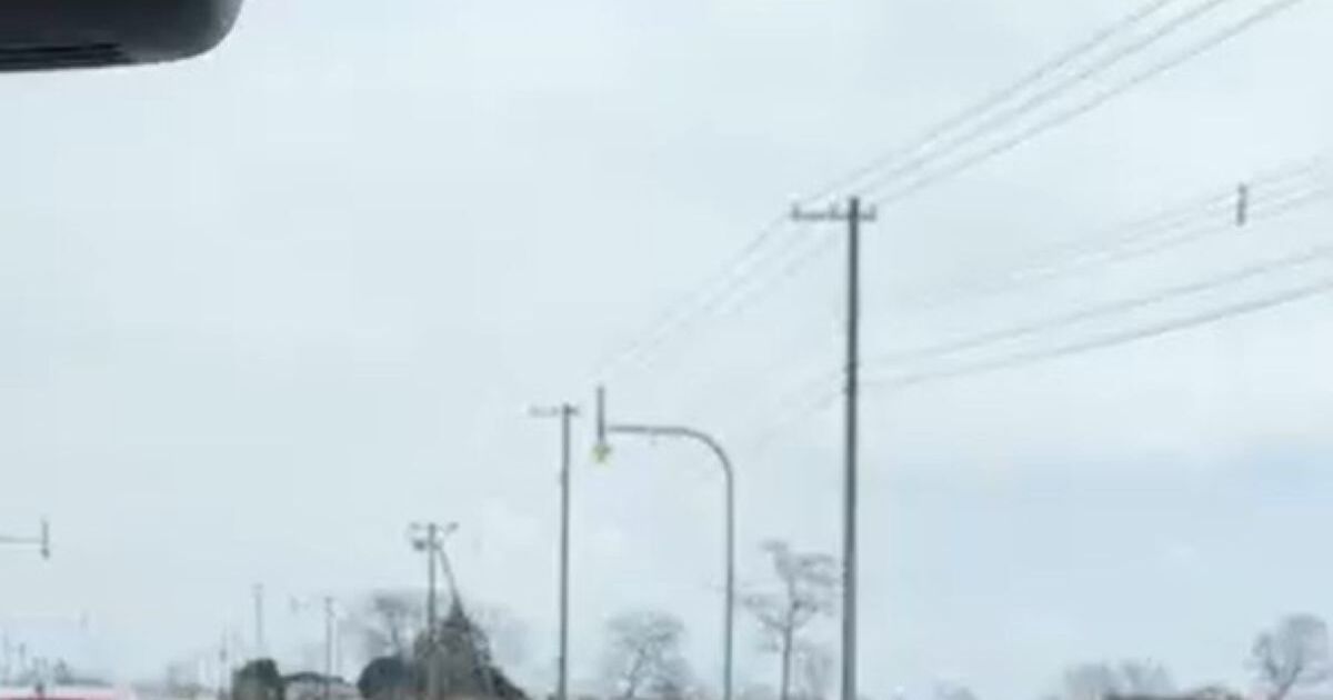 北海道でドライブ中、目の前を横切ったのは……　思わぬ生き物に「本当にいるんだ！」「想像よりずっと大きい」　 | その他生き物 ねとらぼ