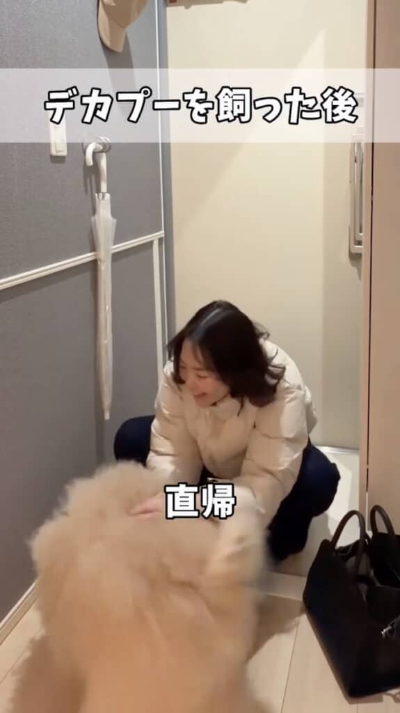 ポイやんくんに会うため、仕事後は直帰