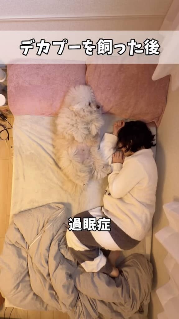 ポイやんくんがいるおかげか、ぐっすり眠れるように